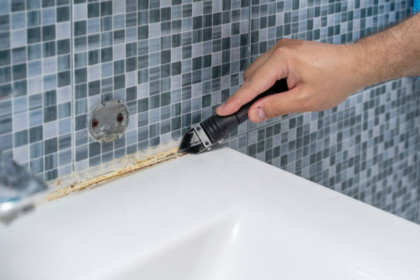 Best Mold Testing and Inspection Services in East Palestine, OH